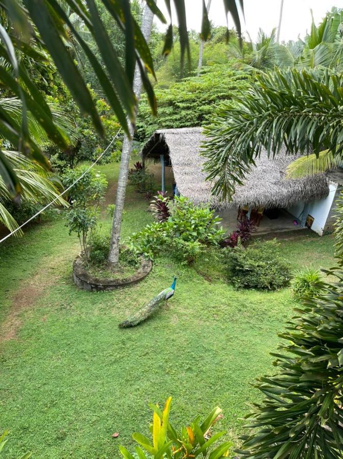 Hiru Villa Tangalle Eksteriør billede