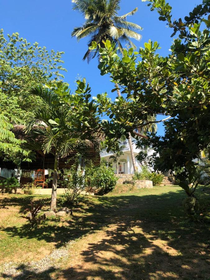 Hiru Villa Tangalle Eksteriør billede